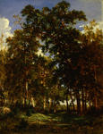 The Forest Floor (Dessous de Bois) (Woodland Scene)
